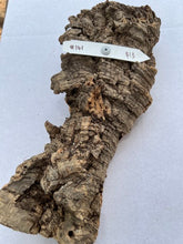 Load image into Gallery viewer, Real Raw Cork No 141 - Orchid, Plant Mounts, Terrariums, Pets
