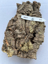 Load image into Gallery viewer, Real Raw Cork No 169 - Orchid, Plant Mounts, Terrariums, Pets
