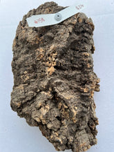 Load image into Gallery viewer, Real Raw Cork No 158 - Orchid, Plant Mounts, Terrariums, Pets
