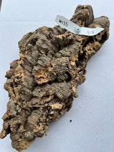 Load image into Gallery viewer, Real Raw Cork No 133 - Orchid, Plant Mounts, Terrariums, Pets
