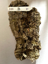 Load image into Gallery viewer, Real Raw Cork No 185 - Orchid, Plant Mounts, Terrariums, Pets
