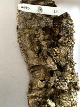Load image into Gallery viewer, Real Raw Cork No 185 - Orchid, Plant Mounts, Terrariums, Pets
