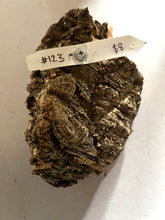 Load image into Gallery viewer, Real Raw Cork No 123 - Orchid, Plant Mounts, Terrariums, Pets
