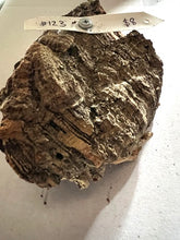 Load image into Gallery viewer, Real Raw Cork No 123 - Orchid, Plant Mounts, Terrariums, Pets
