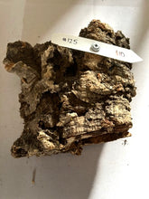 Load image into Gallery viewer, Real Raw Cork No 125 - Orchid, Plant Mounts, Terrariums, Pets
