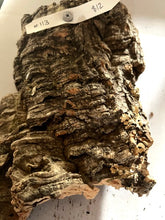 Load image into Gallery viewer, Real Raw Cork No 113 - Orchid, Plant Mounts, Terrariums, Pets
