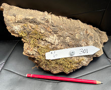 Load image into Gallery viewer, Real Raw Cork No 301 - Orchid, Plant Mounts, Terrariums, Pets
