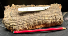 Load image into Gallery viewer, Real Raw Cork No 303 - Orchid, Plant Mounts, Terrariums, Pets
