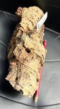 Load image into Gallery viewer, Real Raw Cork No 305 - Orchid, Plant Mounts, Terrariums, Pets
