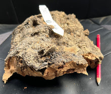 Load image into Gallery viewer, Real Raw Cork No 306 - Orchid, Plant Mounts, Terrariums, Pets
