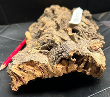 Load image into Gallery viewer, Real Raw Cork No 307 - Orchid, Plant Mounts, Terrariums, Pets
