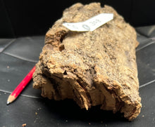 Load image into Gallery viewer, Real Raw Cork No 308 - Orchid, Plant Mounts, Terrariums, Pets
