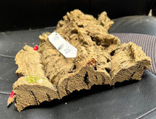 Load image into Gallery viewer, Real Raw Cork No 313 - Orchid, Plant Mounts, Terrariums, Pets
