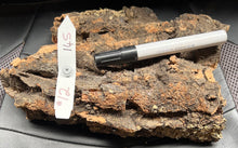 Load image into Gallery viewer, Real Raw Cork No 145 - Orchid, Plant Mounts, Terrariums, Pets
