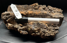 Load image into Gallery viewer, Real Raw Cork No 144 - Orchid, Plant Mounts, Terrariums, Pets
