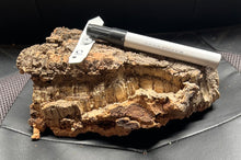 Load image into Gallery viewer, Real Raw Cork No 140 - Orchid, Plant Mounts, Terrariums, Pets
