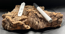 Load image into Gallery viewer, Real Raw Cork No 133 - Orchid, Plant Mounts, Terrariums, Pets
