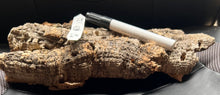 Load image into Gallery viewer, Real Raw Cork No 132 - Orchid, Plant Mounts, Terrariums, Pets
