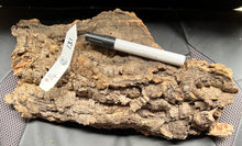 Load image into Gallery viewer, Real Raw Cork No 131 - Orchid, Plant Mounts, Terrariums, Pets
