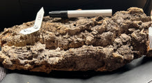 Load image into Gallery viewer, Real Raw Cork No 131 - Orchid, Plant Mounts, Terrariums, Pets
