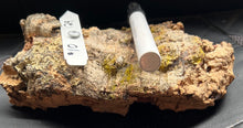 Load image into Gallery viewer, Real Raw Cork No 129 - Orchid, Plant Mounts, Terrariums, Pets
