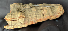 Load image into Gallery viewer, Real Raw Cork No 101 - Orchid, Plant Mounts, Terrariums, Pets
