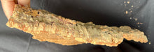 Load image into Gallery viewer, Real Raw Cork No 108 - Orchid, Plant Mounts, Terrariums, Pets
