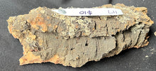 Load image into Gallery viewer, Real Raw Cork No 117 - Orchid, Plant Mounts, Terrariums, Pets
