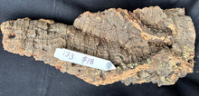 Load image into Gallery viewer, Real Raw Cork No 133 - Orchid, Plant Mounts, Terrariums, Pets
