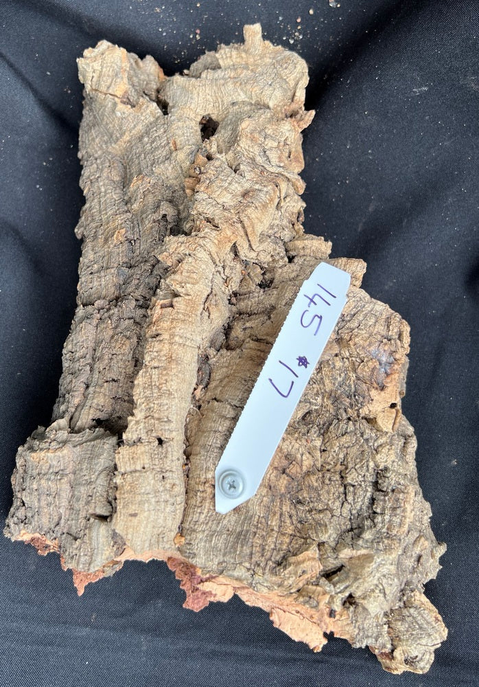 Real Raw Cork No 145 - Orchid, Plant Mounts, Terrariums, Pets