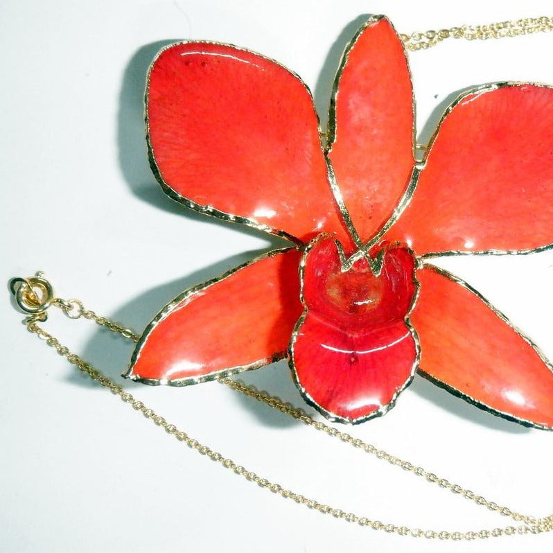 GOLD TRIM - Real Orchid Flower Jewellery - One Of A Kind (20)